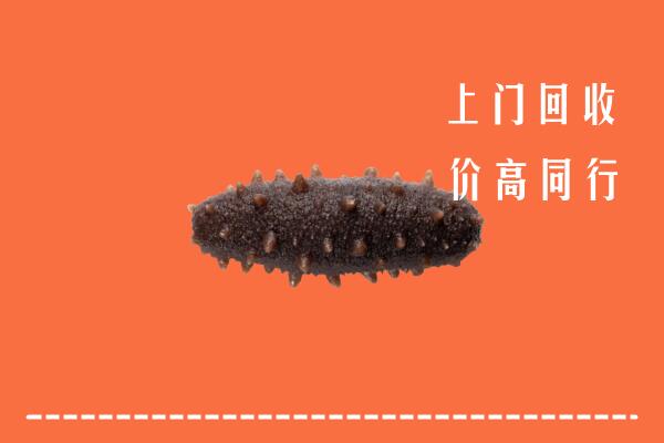 庐阳区高价回收海参